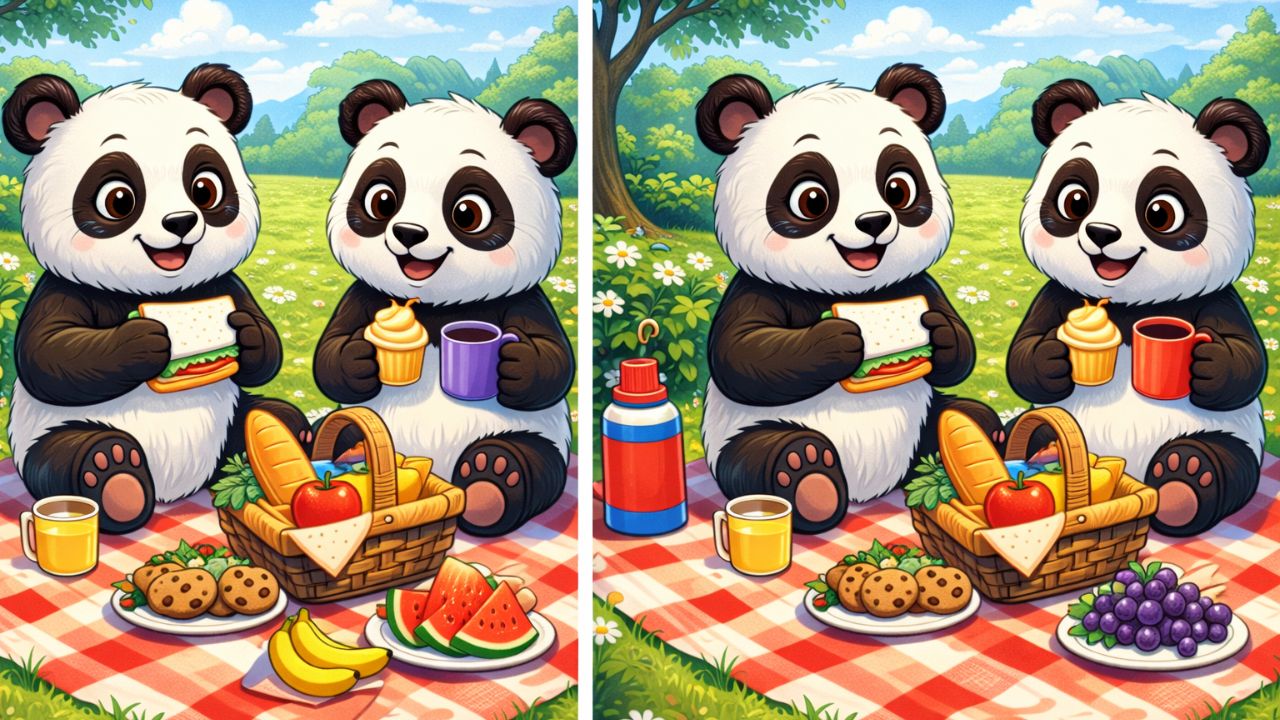 9-Second Visual Challenge: Spot the 3 Differences in the Panda Picnic Image