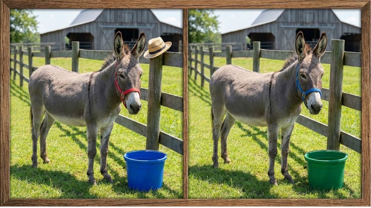 Brain Teaser Challenge: Spot 3 Differences in the Donkey Pictures in 7 Seconds
