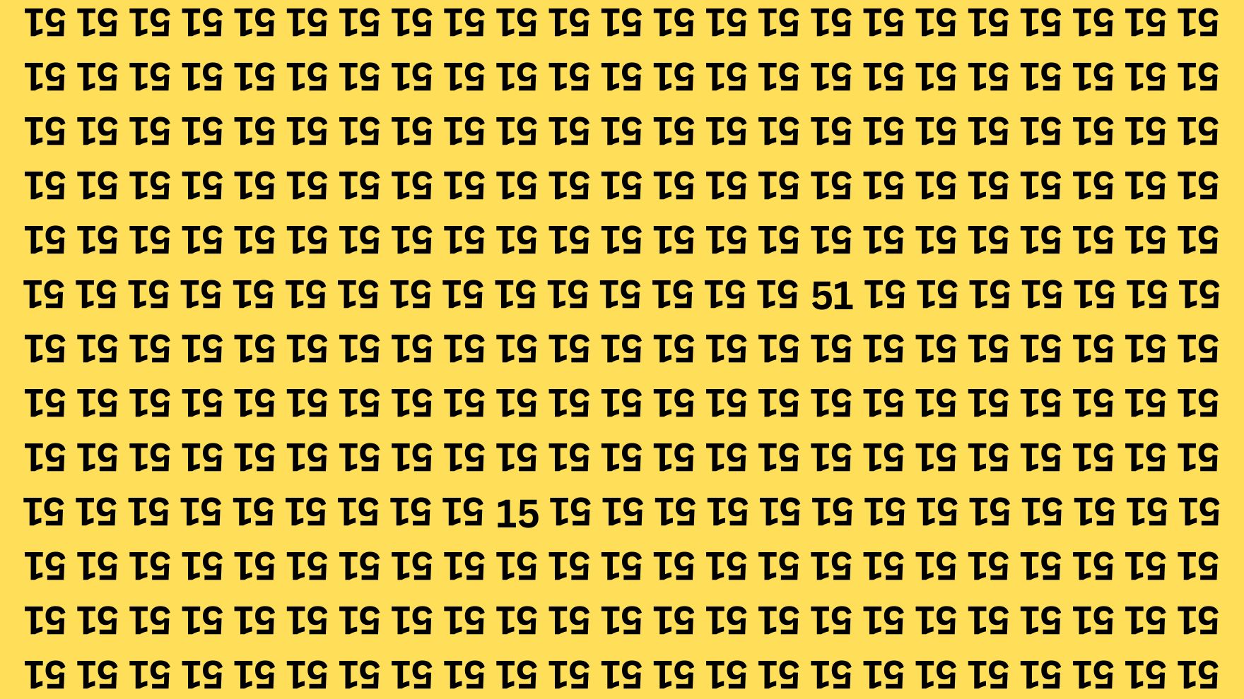 Optical Illusion Challenge: Spot the Inverted 51 and 15 Among 51s Within 9 Seconds