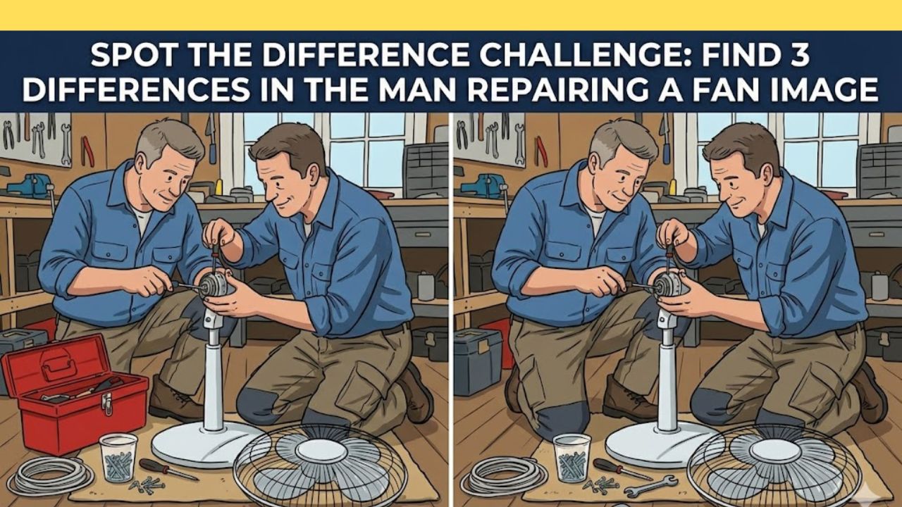 Spot the Difference Challenge: Find 3 Differences in the Man Repairing a Fan Image