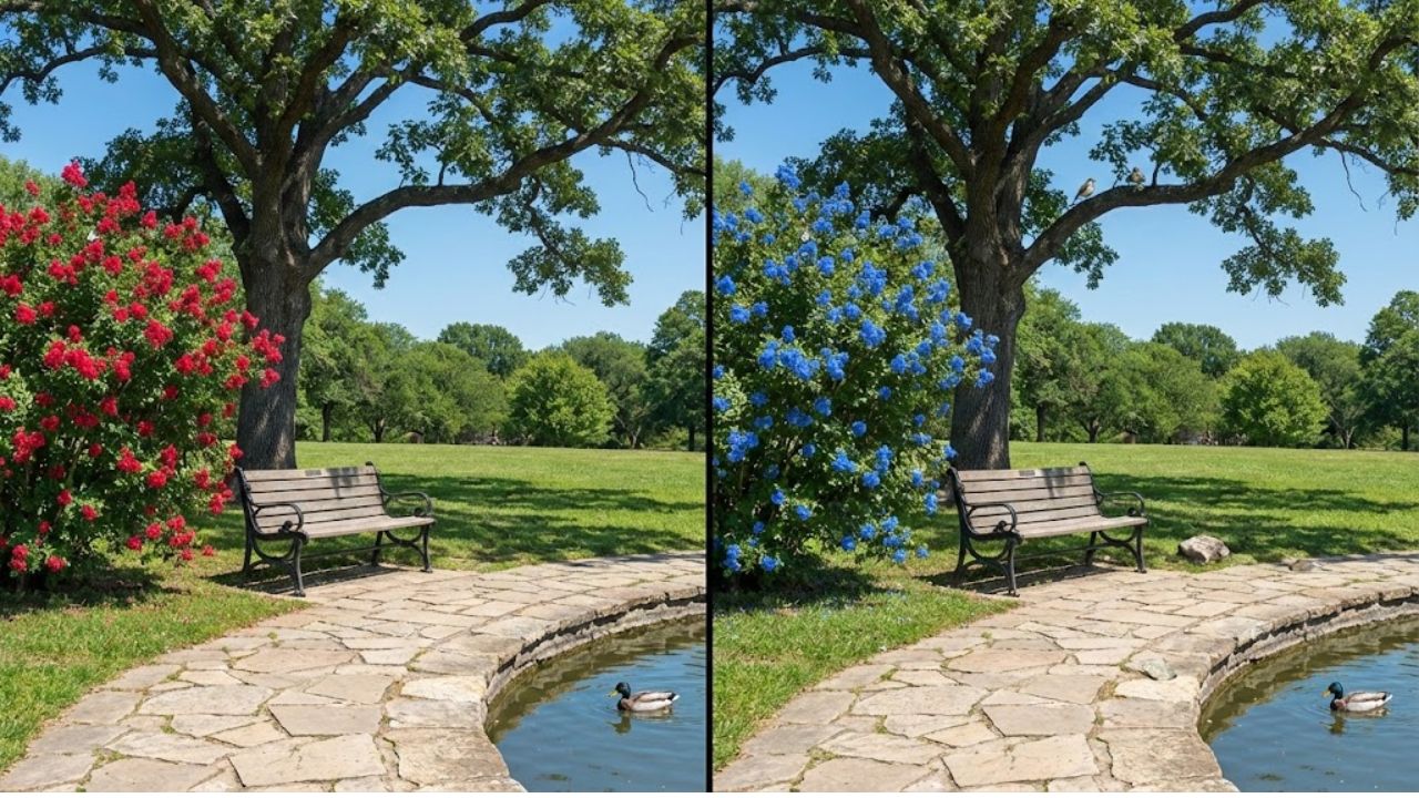 Spot the Difference Challenge: Find All 3 Differences in the Park Image in 8 Seconds