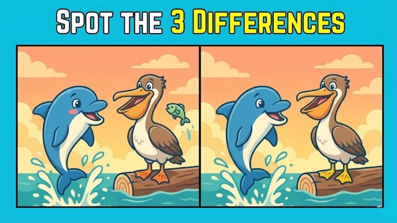 Spot the Difference Challenge: Find 3 Differences Between a Dolphin and a Pelican in 9 Seconds