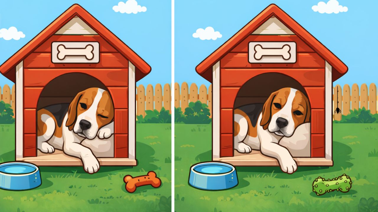 Spot the Difference Puzzle: Find 3 Changes in the Dog House Image Within 10 Seconds