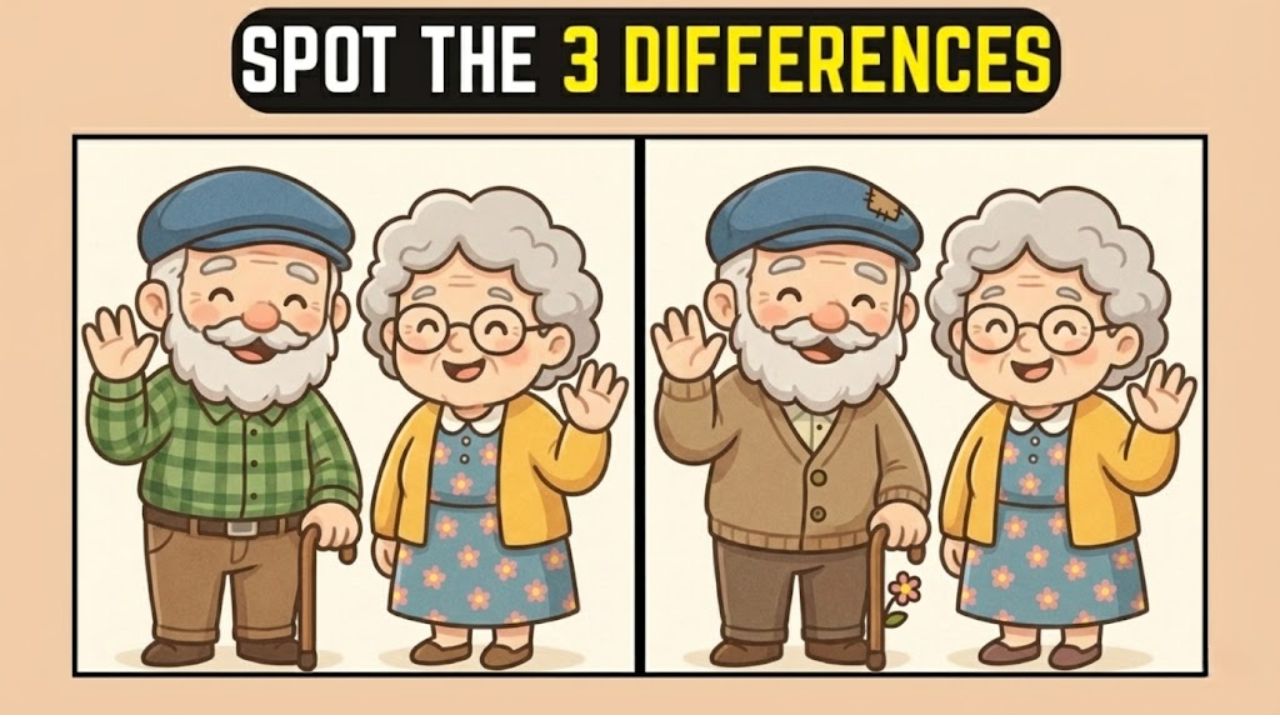 Spot the Difference Puzzle: Find 3 Hidden Changes in the Old Couple Image