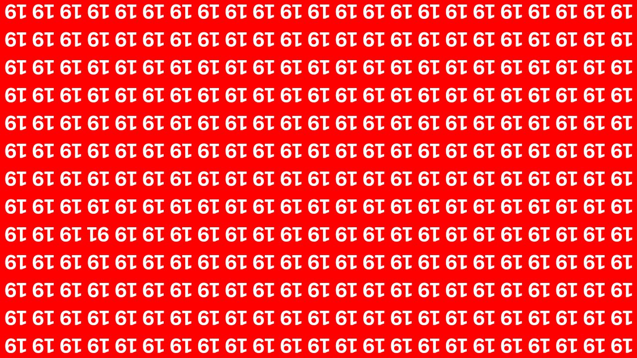 Only Sharp Eyes Can Find the Inverted 91 Hidden Among Inverted 19s