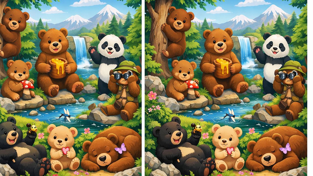 Observation Skills Face a Test With This Tricky Bear Difference Puzzle