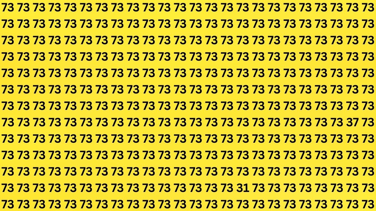 Optical Illusion Challenge: Can You Spot 31 and 37 Hidden Among Endless 73s in 7 Seconds